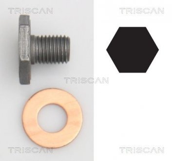 (с шайбою) Пробка масляного піддона M10x1.25/ L 13 TRISCAN 95001010