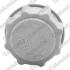 Бачок расширительный Vernet ET0015C1 (фото 2)