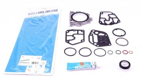 Комплект прокладок з різних матеріалів VICTOR REINZ 08-35038-01