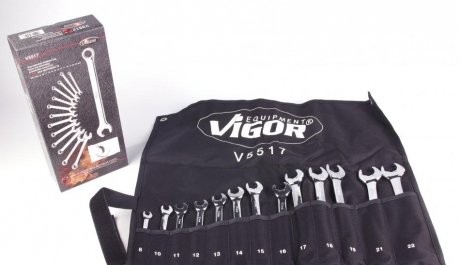 Набір ключів Vigor V5517