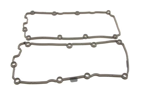 Комплект прокладок клапанной крышки (2 шт) VW Touareg (04-10,10-)/Audi A4 (04-12),A6 (04-11),Q7 (06-15) Vika 11031790601
