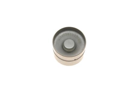 Гідрокомпенсатор Skoda Fabia (00-08),Felicia (95-02),Octavia (96-10)/VWGolf (82-00)/VW T4,Passat (83-00) Vika 11090224001