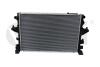Радіатор VW T5 (03-15) Vika 11210996201 (фото 1)